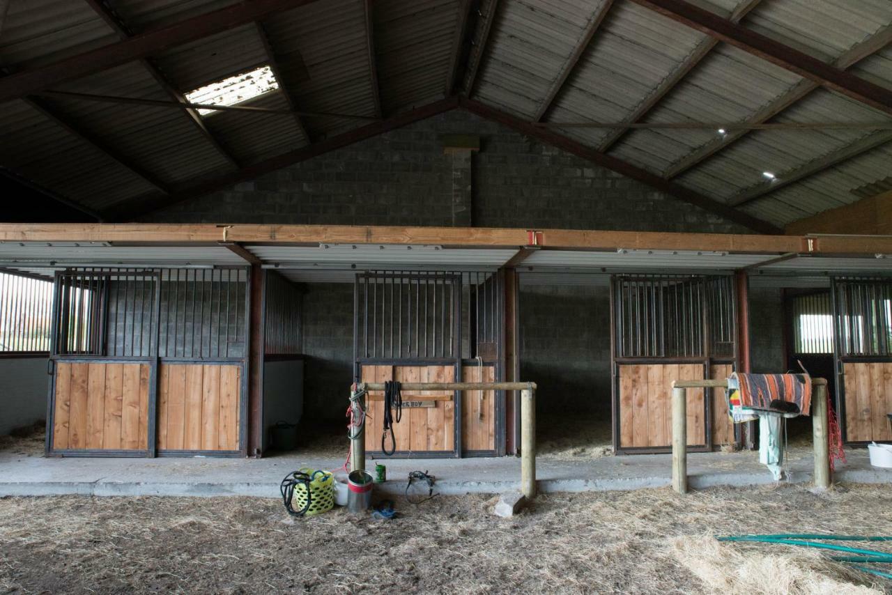 Boeren Biezen Bed Landelijk Villa Buitenkant foto