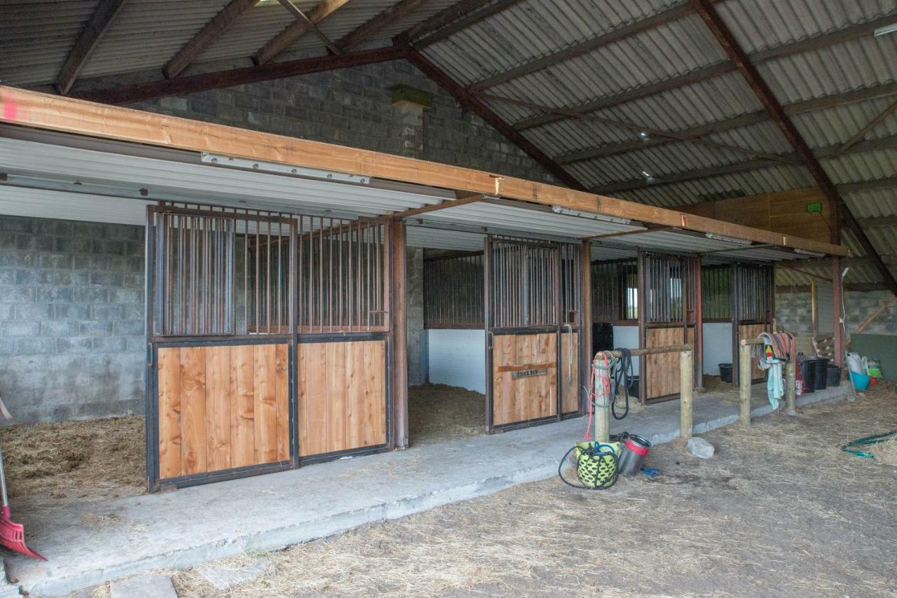 Boeren Biezen Bed Landelijk Villa Buitenkant foto