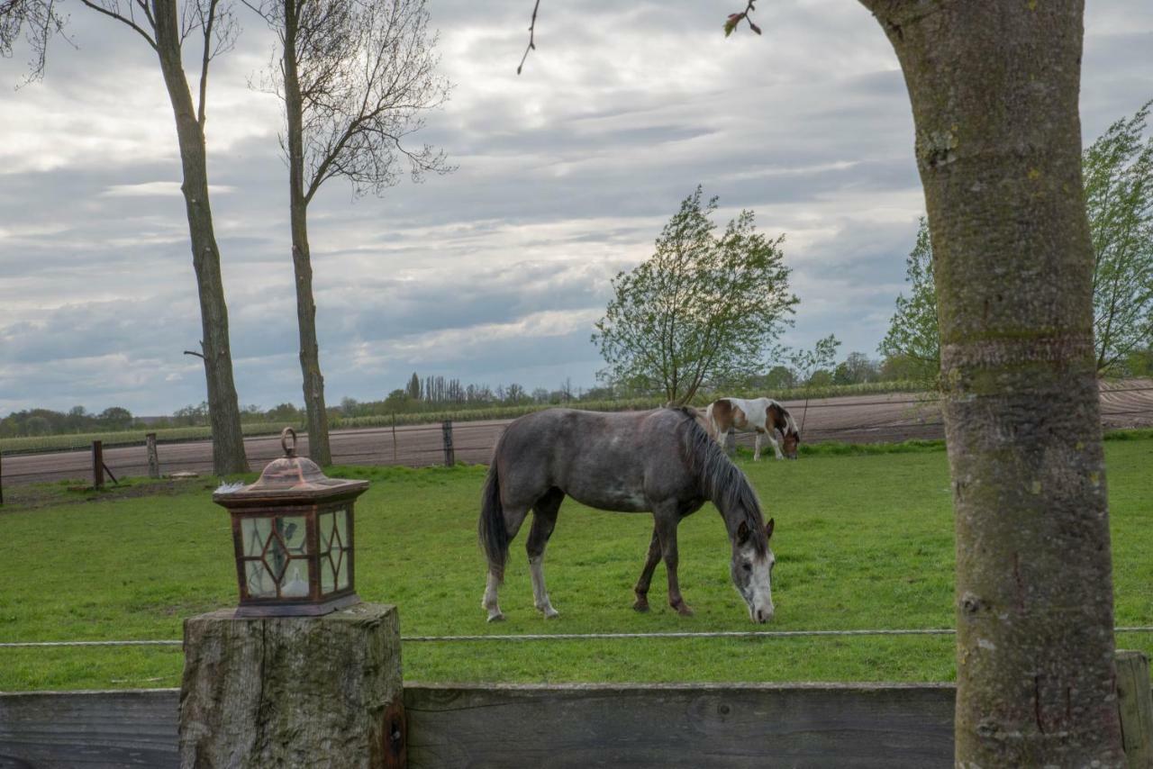 Boeren Biezen Bed Landelijk Villa Buitenkant foto