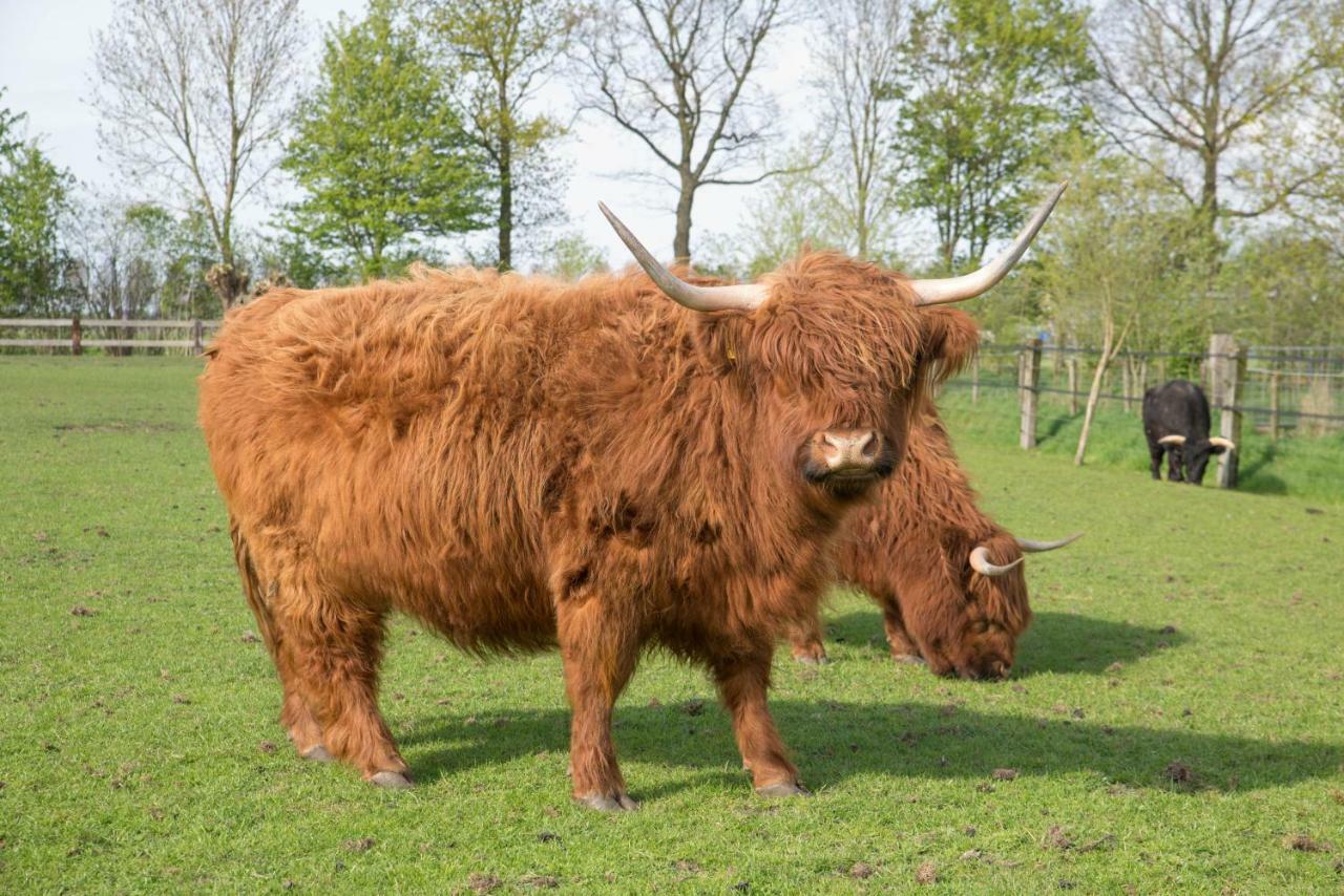 Boeren Biezen Bed Landelijk Villa Buitenkant foto
