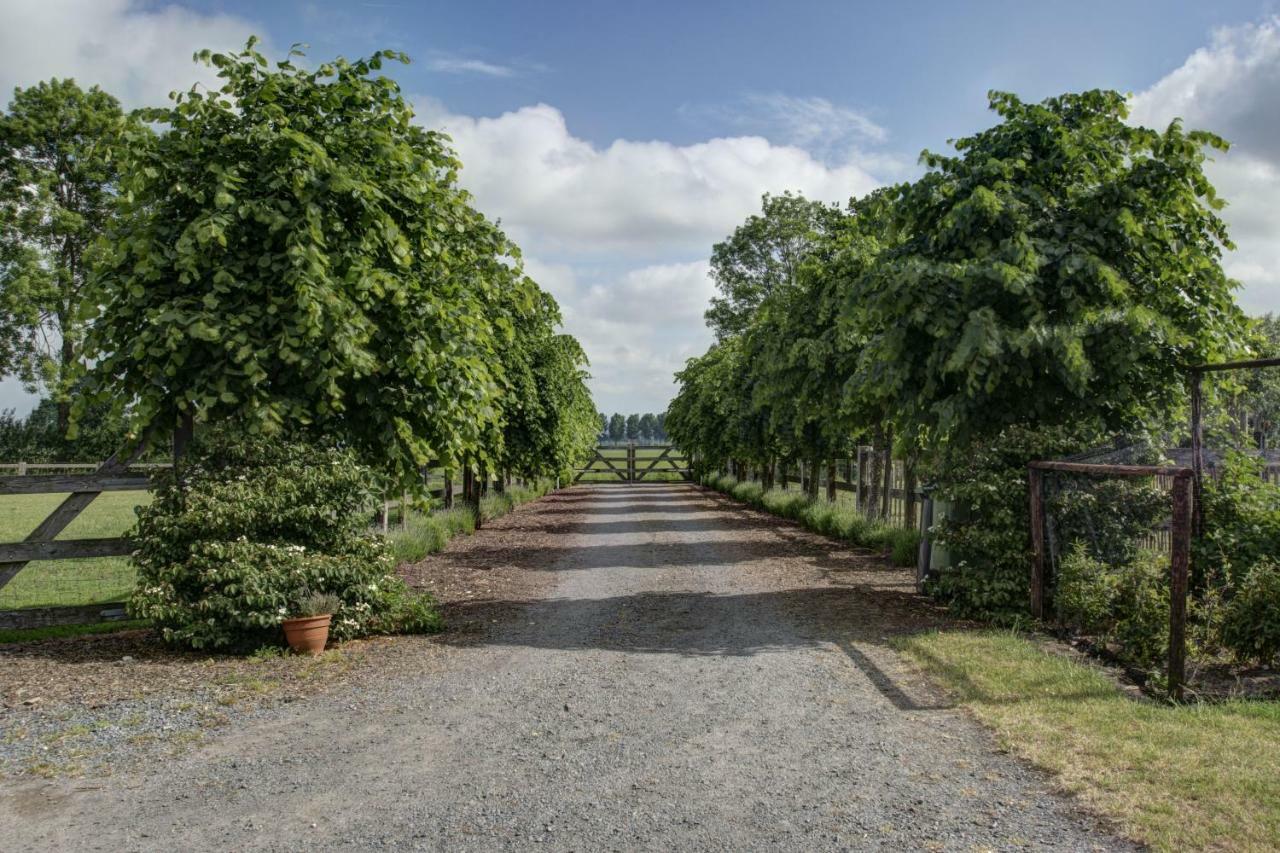 Boeren Biezen Bed Landelijk Villa Buitenkant foto