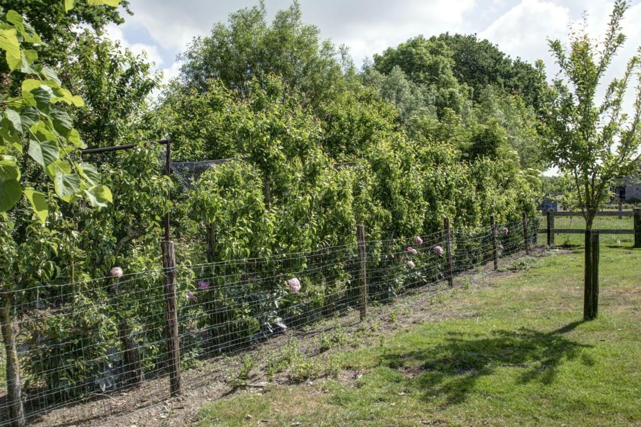 Boeren Biezen Bed Landelijk Villa Buitenkant foto